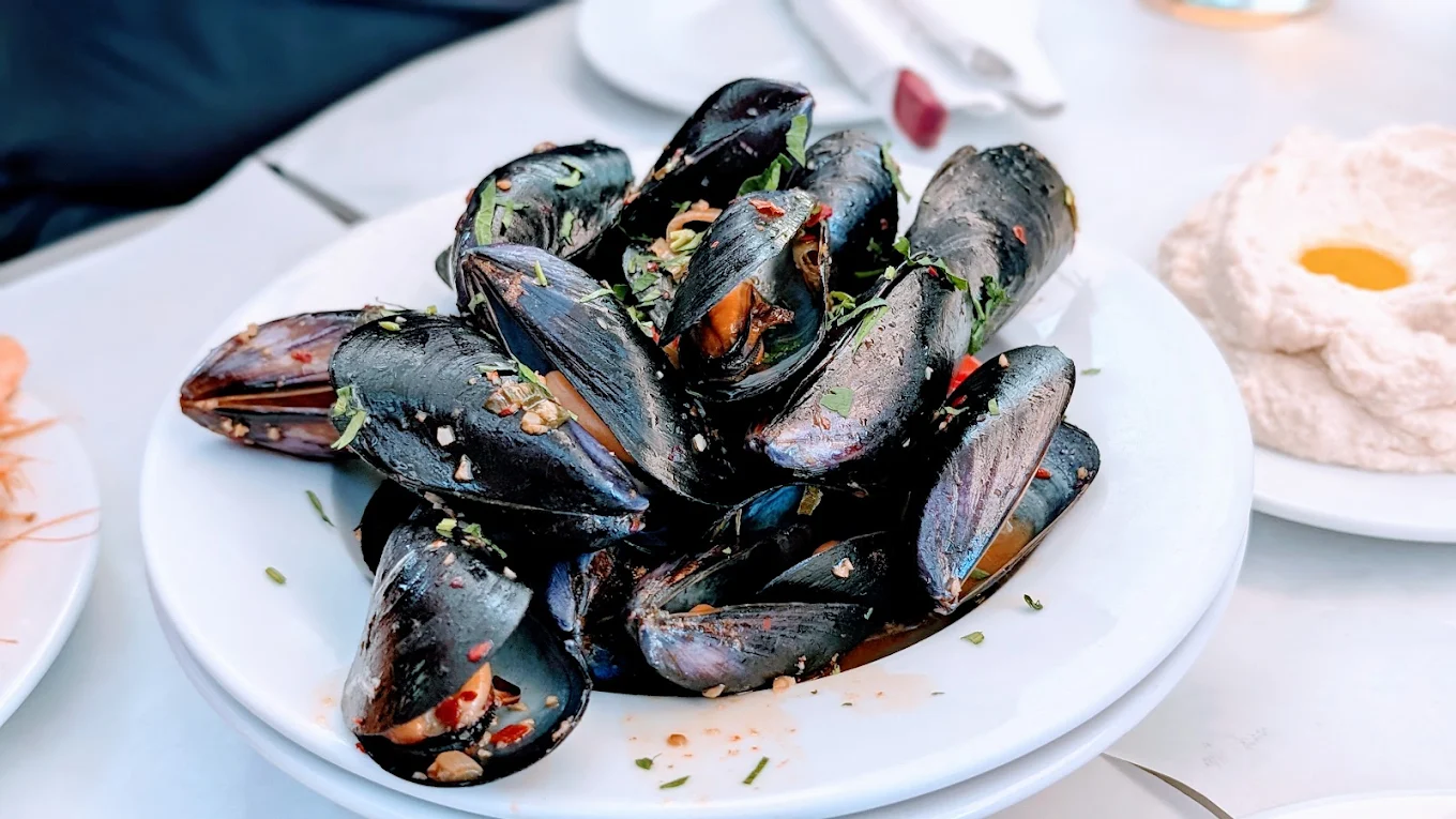 Mussels